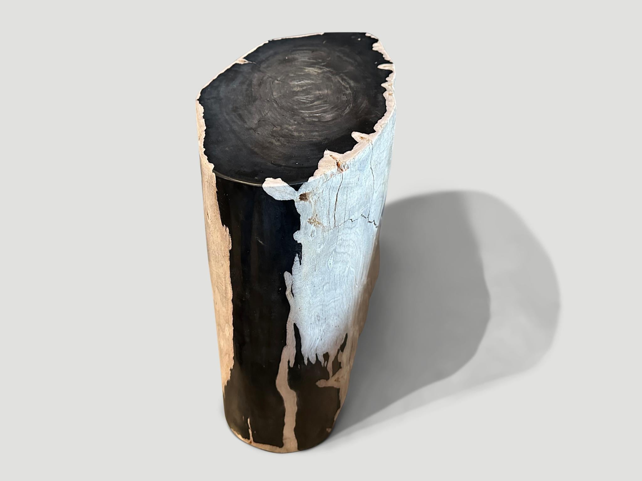 Impressive beautiful contrasting markings on this high quality ancient petrified wood side table. It’s fascinating how Mother Nature produces these stunning 40 million year old petrified teak logs with such contrasting colors and natural patterns
