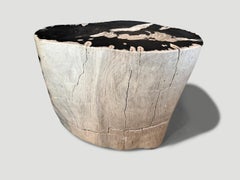 Andrianna Shamaris Striking Ancient Petrified Wood Side Table