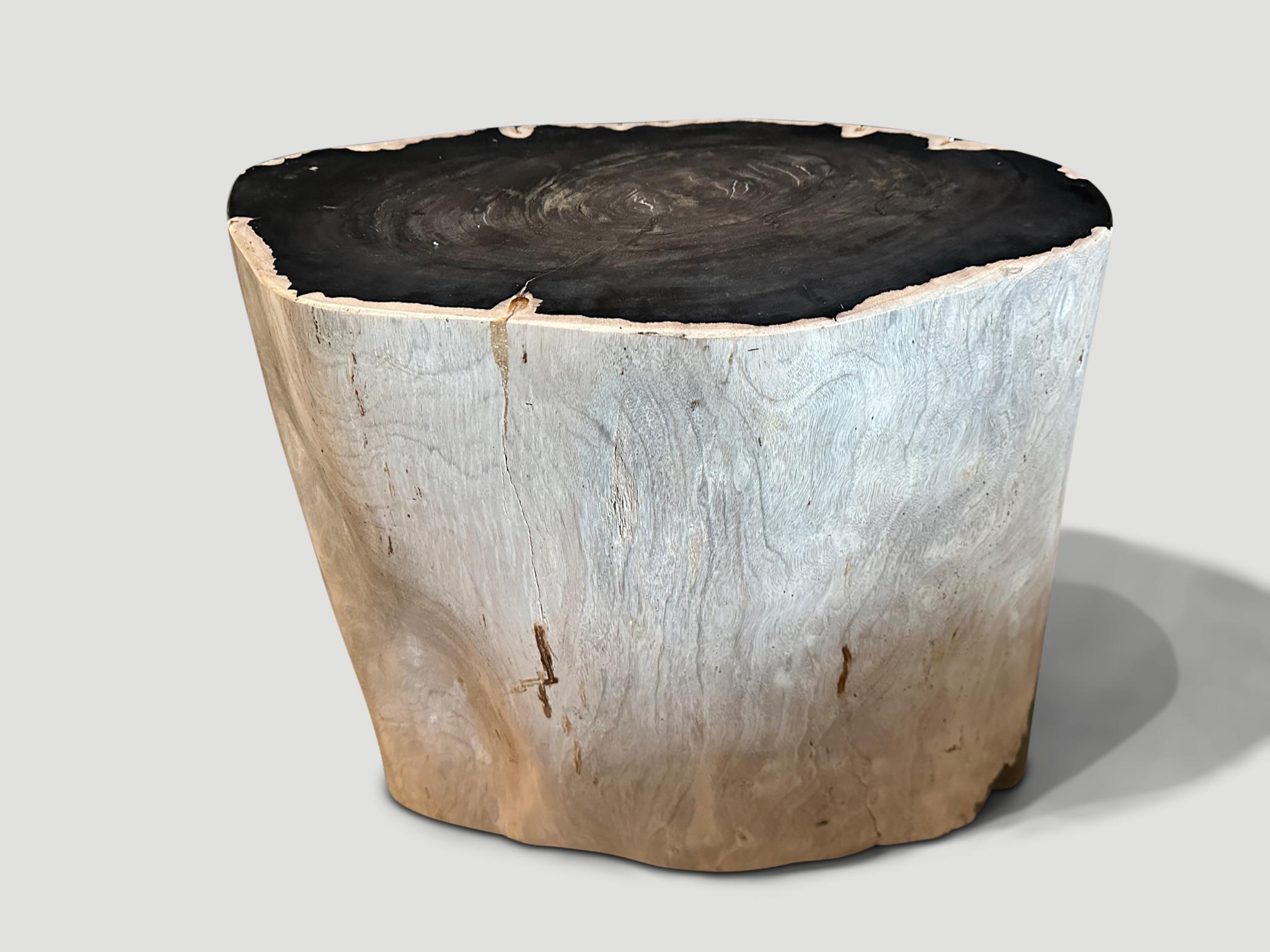Organic Modern Andrianna Shamaris Striking Ancient Petrified Wood Side Table