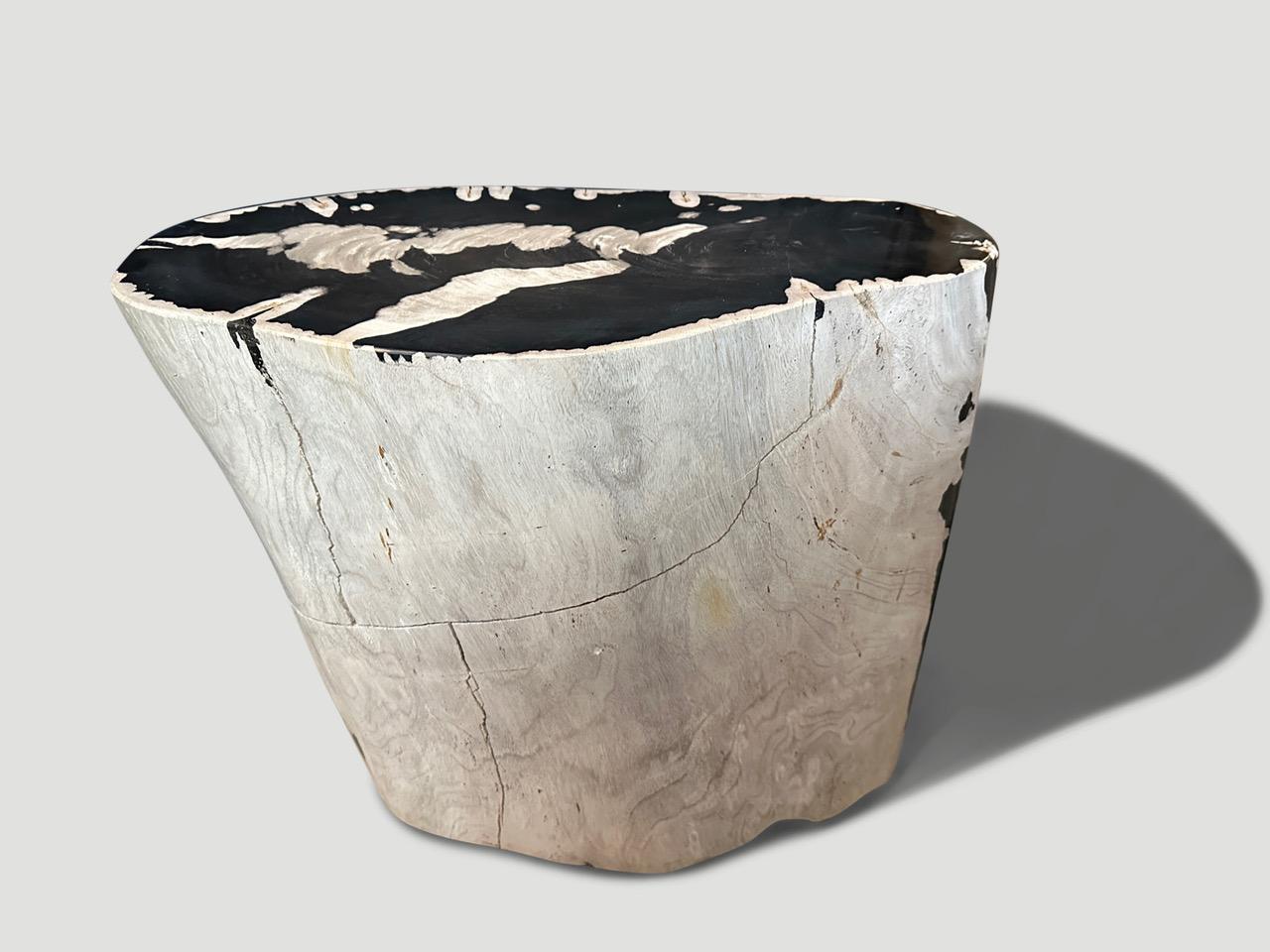 Organic Modern Andrianna Shamaris Striking Ancient Petrified Wood Side Table For Sale