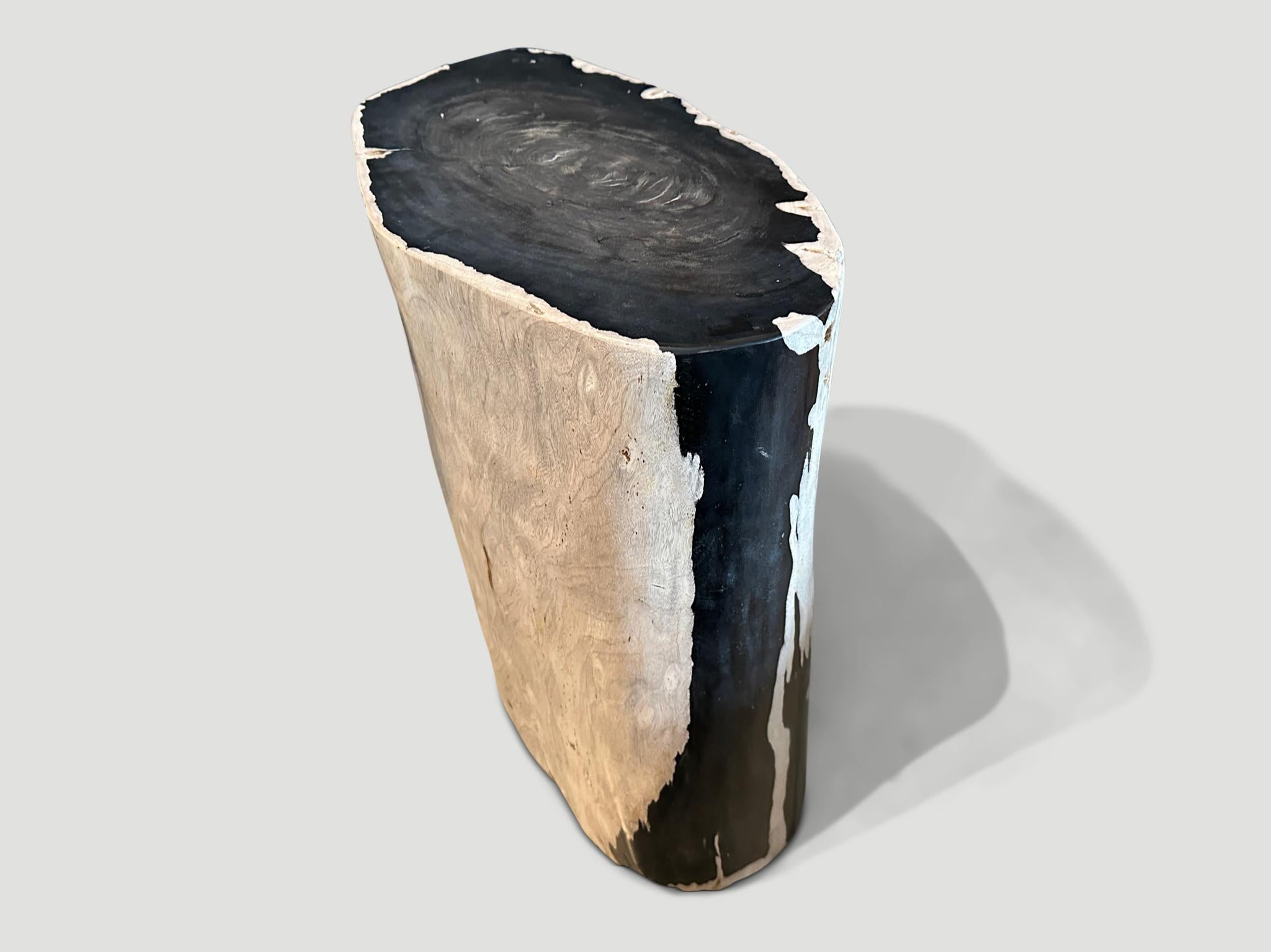 Andrianna Shamaris Striking Ancient Petrified Wood Side Table In Excellent Condition In New York, NY