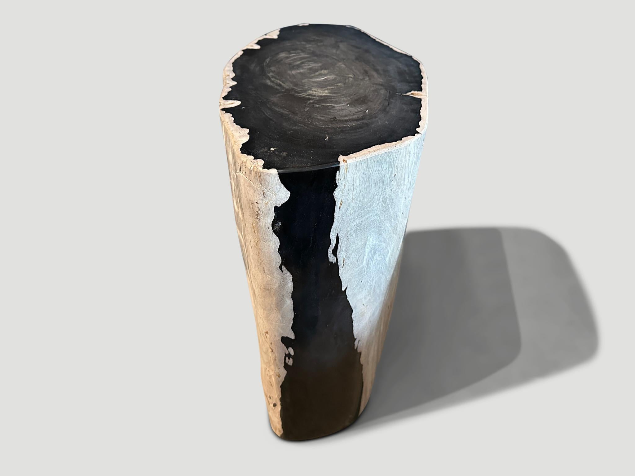 Contemporary Andrianna Shamaris Striking Ancient Petrified Wood Side Table