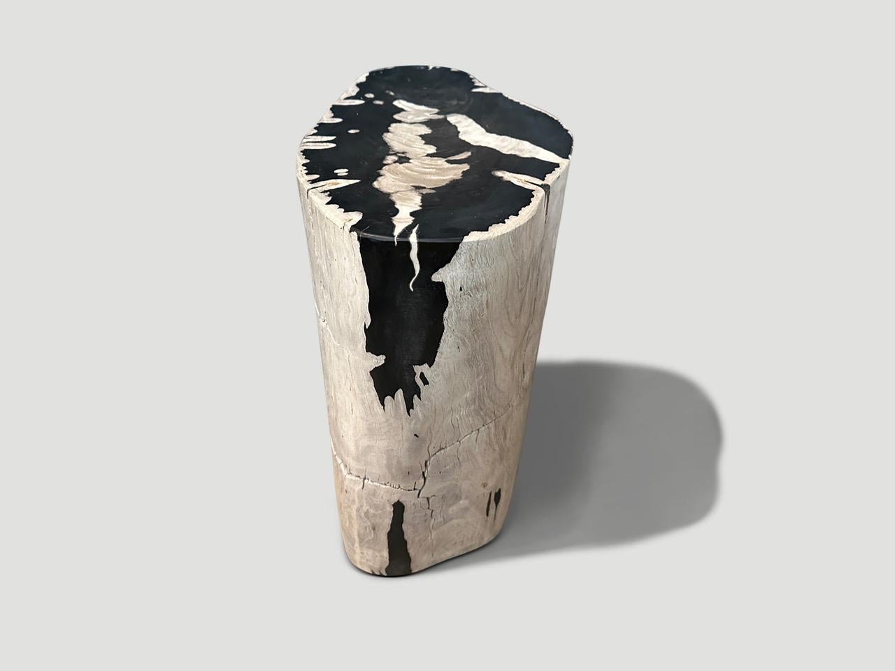Contemporary Andrianna Shamaris Striking Ancient Petrified Wood Side Table For Sale