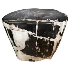 Andrianna Shamaris Striking Ancient Petrified Wood Side Table