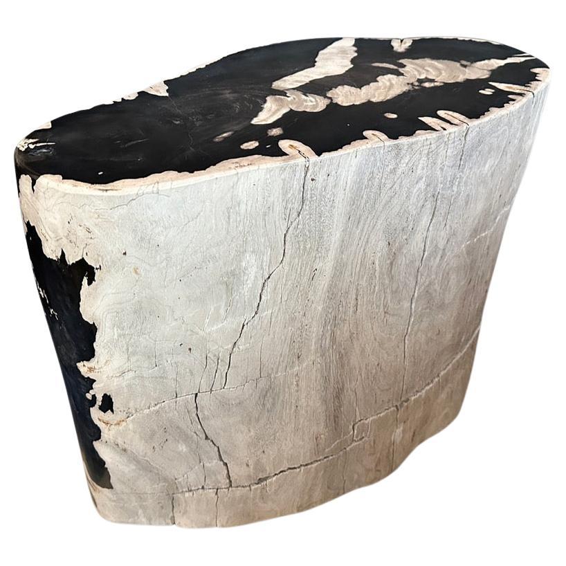 Andrianna Shamaris Striking Ancient Petrified Wood Side Table For Sale