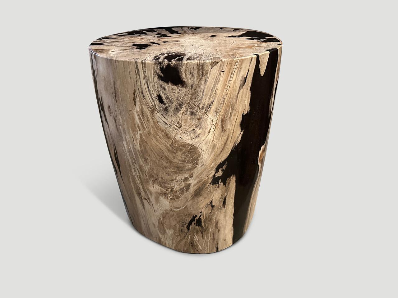 Organic Modern Andrianna Shamaris Striking High Quality Petrified Wood Side Table
