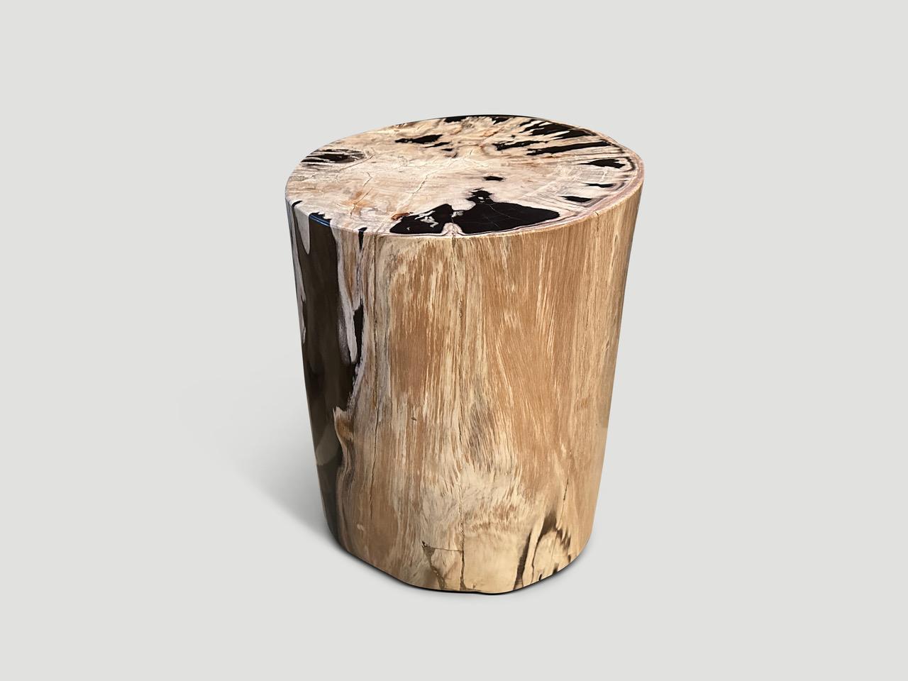 Contemporary Andrianna Shamaris Striking High Quality Petrified Wood Side Table