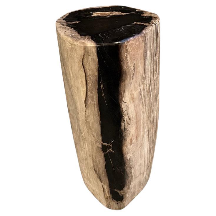 Andrianna Shamaris Striking High Quality Petrified Wood Side Table For Sale