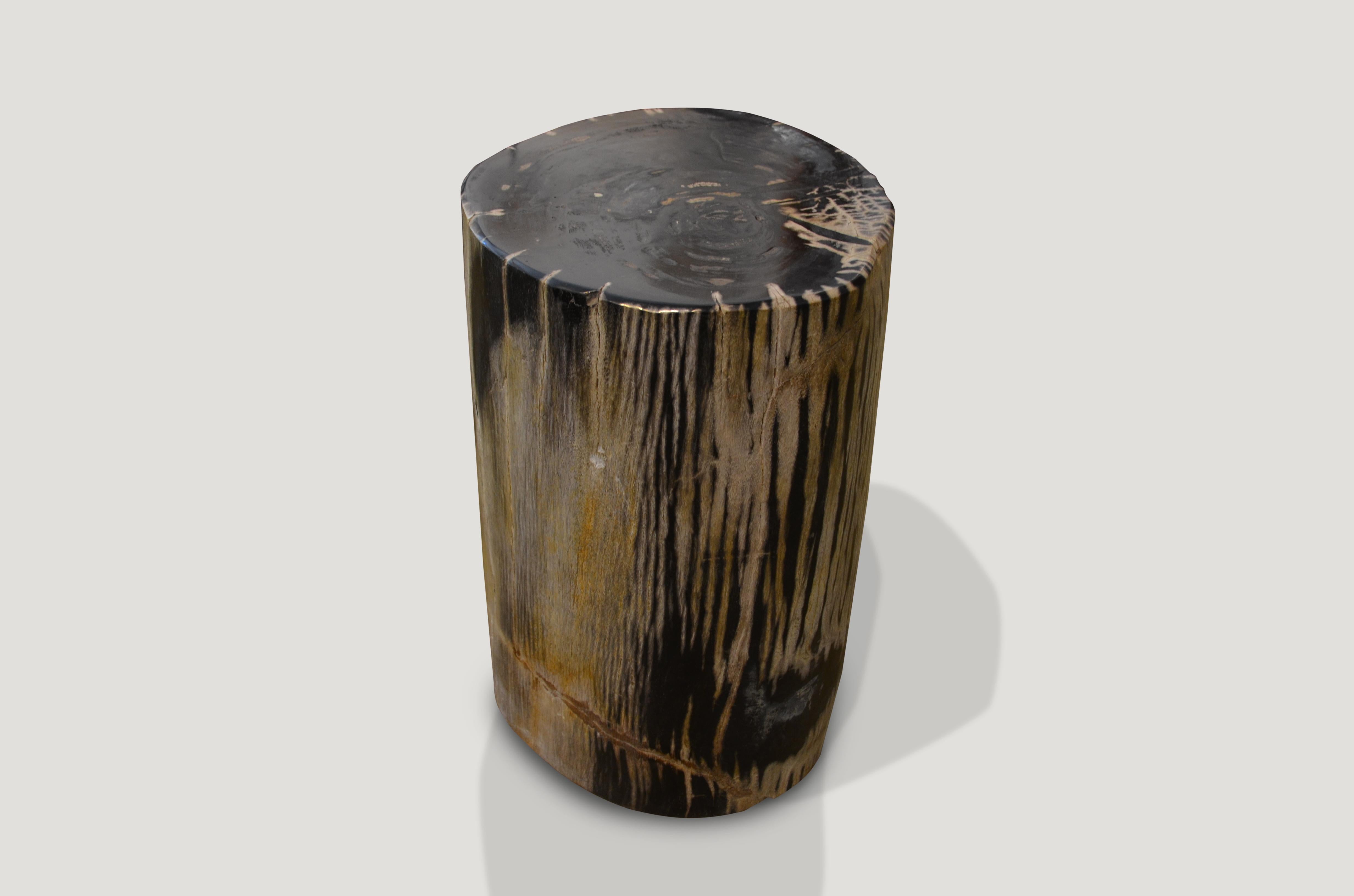 Stunning contrasting tones with a zebra effect.

We source the highest quality petrified wood available. Each piece is hand selected and highly polished with minimal cracks. Petrified wood is extremely versatile – even great inside a bathroom