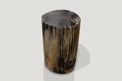 Andrianna Shamaris Striped Petrified Wood Side Table