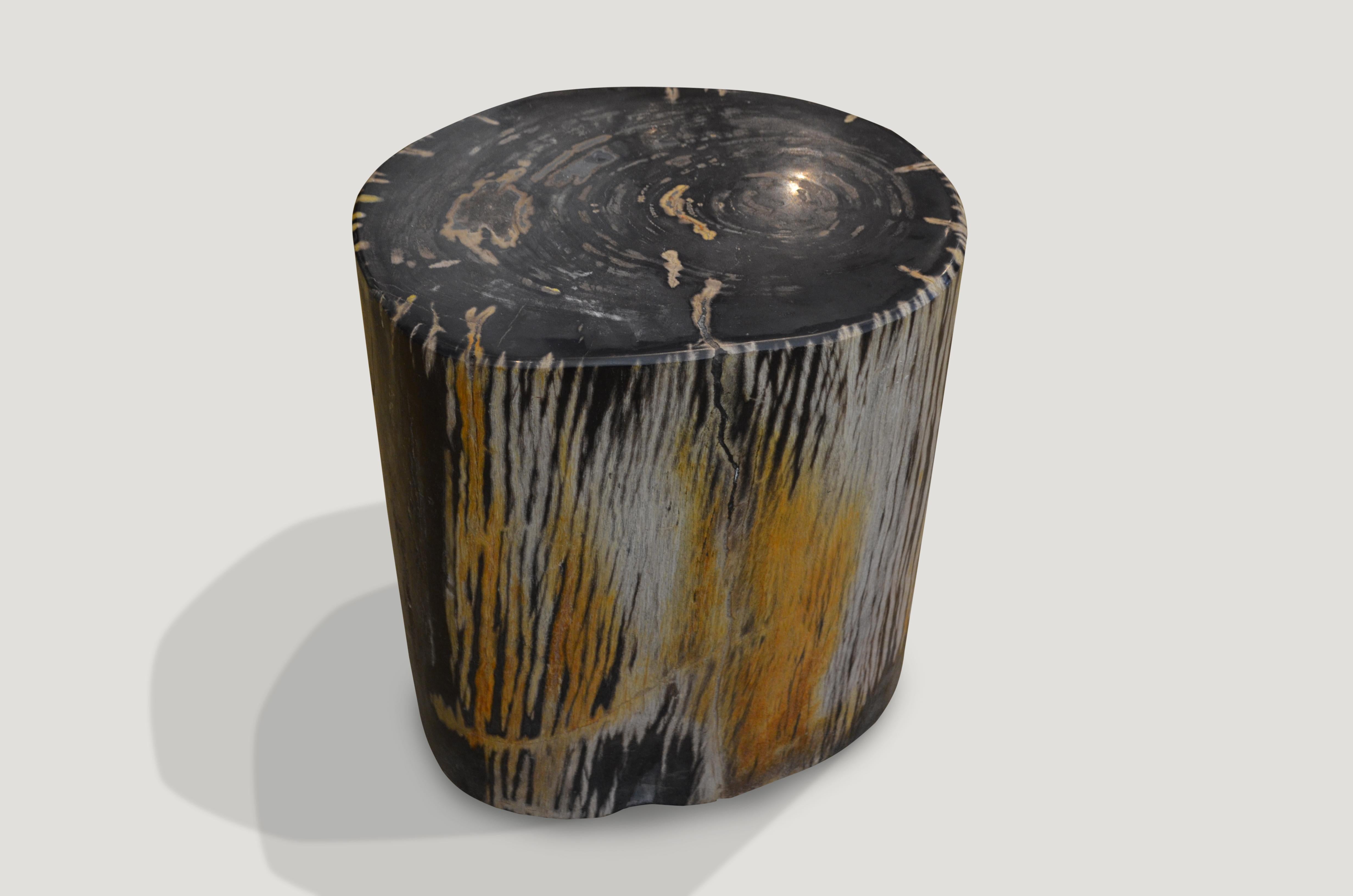 Stunning contrasting tones with a zebra effect. We have a collection of four all cut from the same log, in different sizes.

We source the highest quality petrified wood available. Each piece is hand-selected and highly polished with minimal