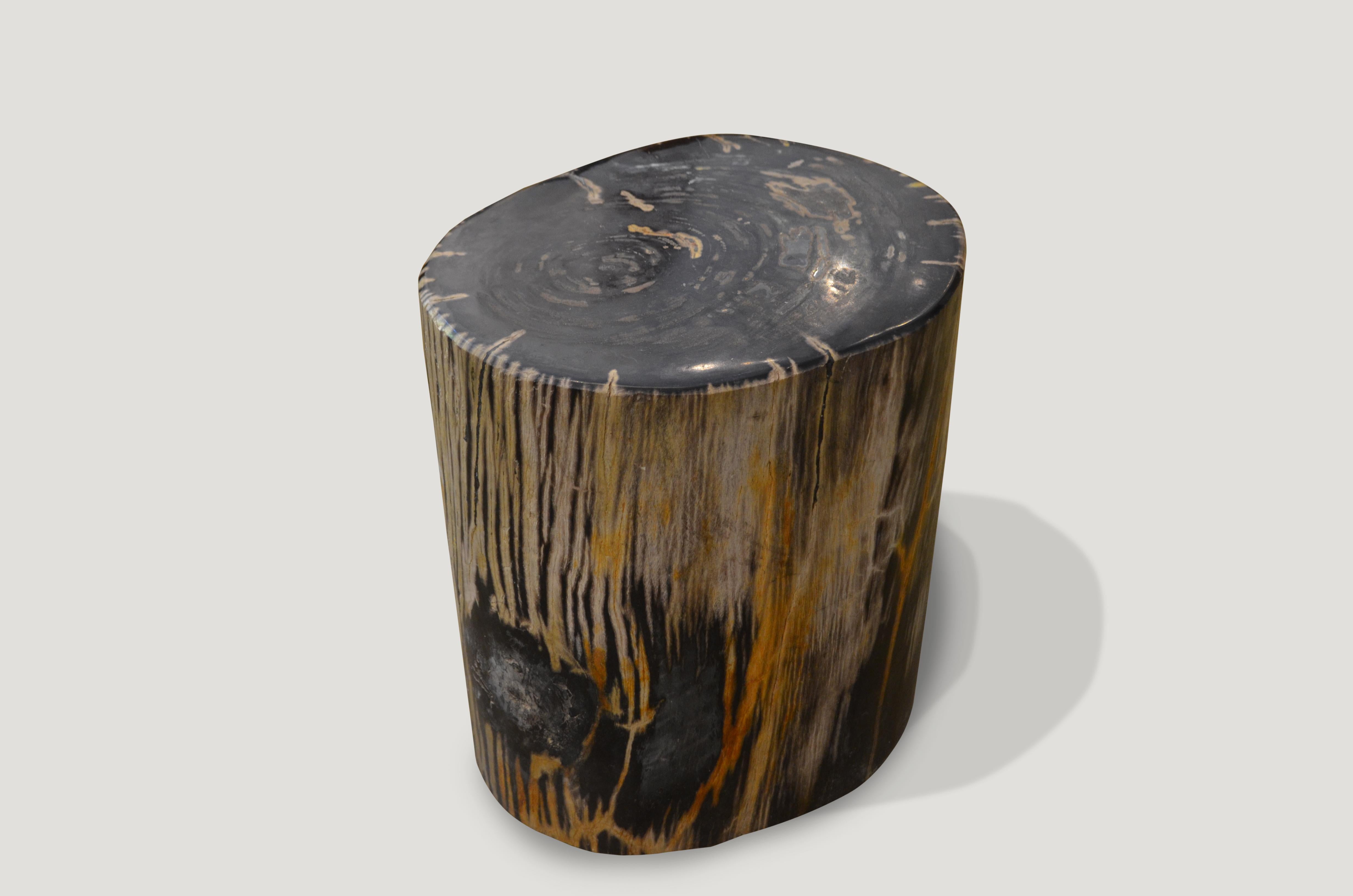 Organic Modern Andrianna Shamaris Striped Petrified Wood Side Table