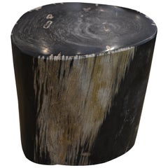 Andrianna Shamaris Striped Petrified Wood Side Table