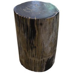 Andrianna Shamaris Striped Petrified Wood Side Table