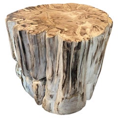 Antique Andrianna Shamaris Super Rare High Quality Petrified Wood Side Table or Pedestal