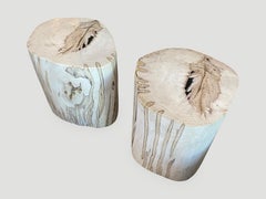 Andrianna Shamaris Super Rare High Quality Petrified Wood Side Tables