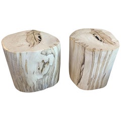 Andrianna Shamaris Super Rare High Quality Petrified Wood Side Tables