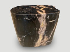 Andrianna Shamaris Super Smooth Ancient Petrified Wood Side Table