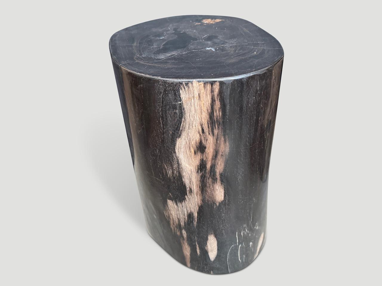 Cette table d'appoint en bois pétrifié de haute qualité et très lisse présente des tons impressionnants. Il est fascinant de voir comment Mère Nature produit ces étonnants troncs de teck pétrifiés, vieux de 40 millions d'années, avec des couleurs et