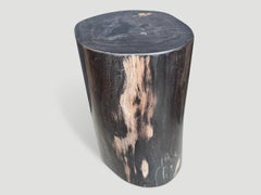 Andrianna Shamaris Super Smooth Ancient Petrified Wood Side Table