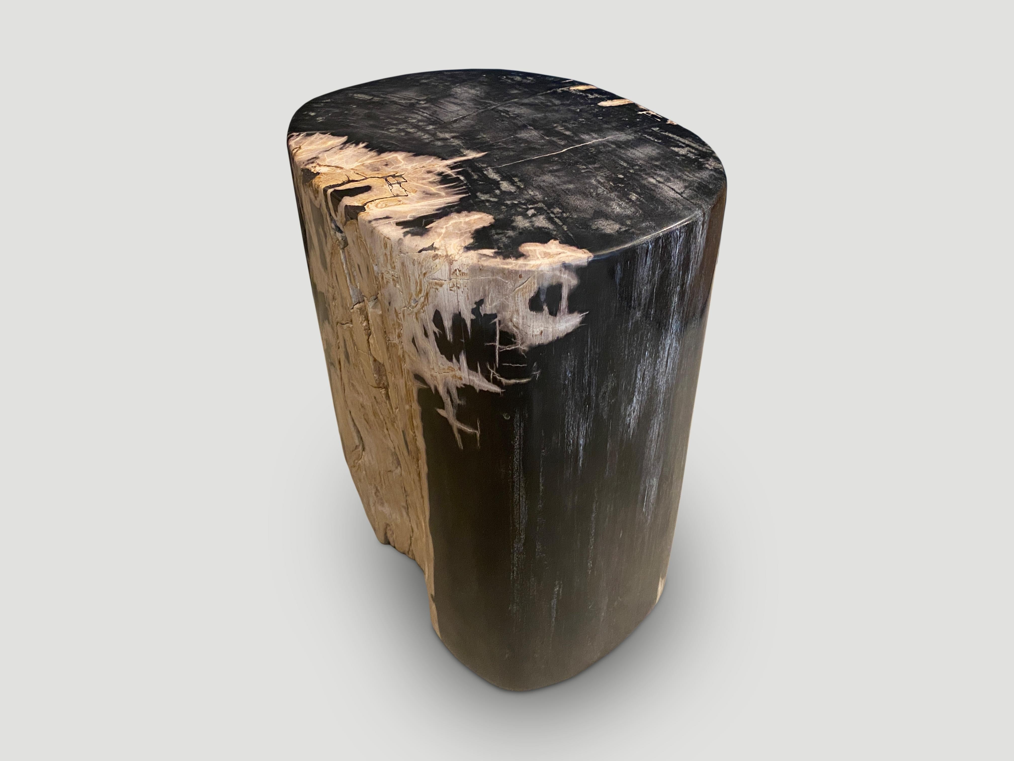 Organic Modern Andrianna Shamaris Super Smooth Ancient Petrified Wood Side Table For Sale