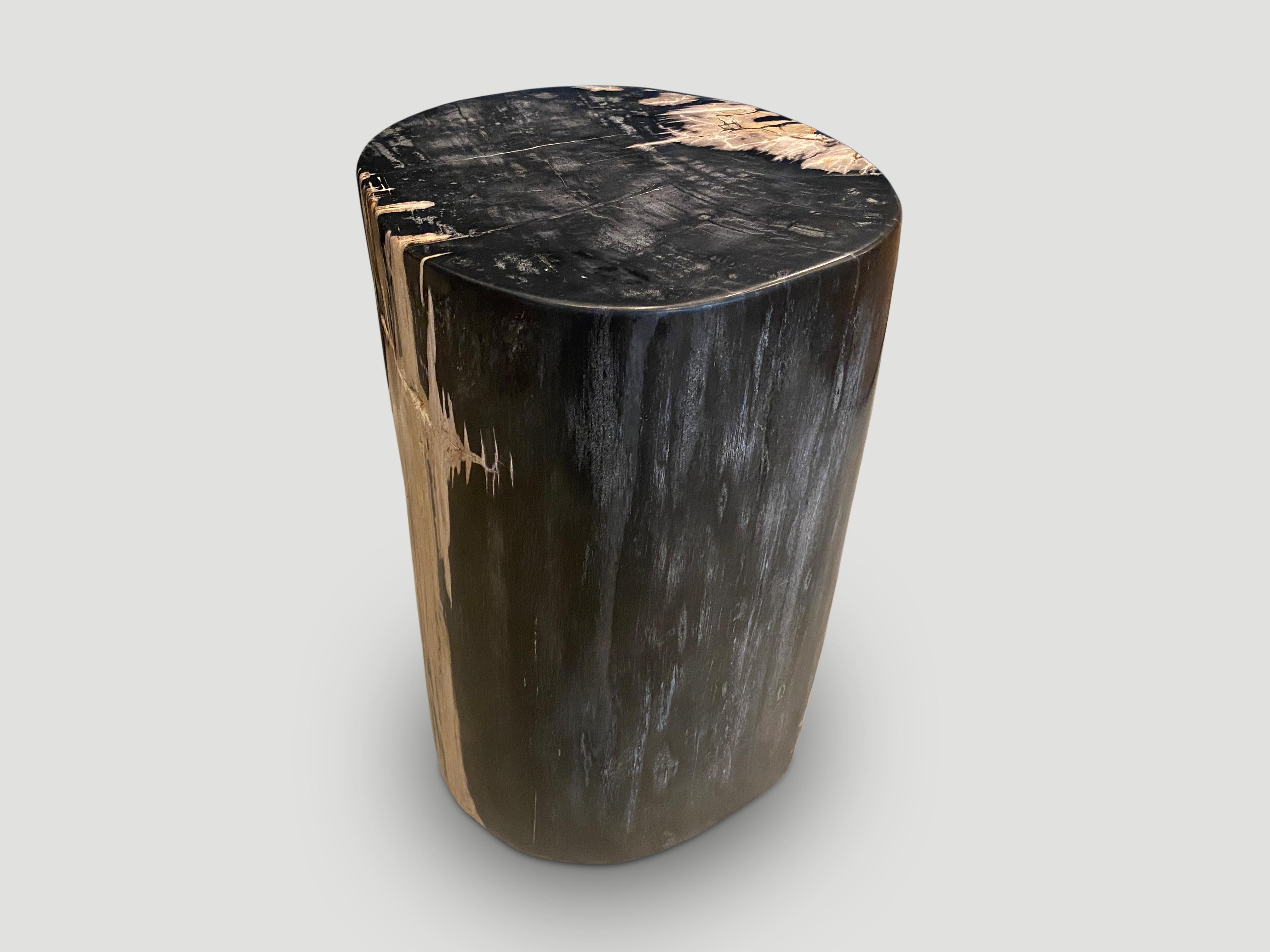 Andrianna Shamaris Super Smooth Ancient Petrified Wood Side Table In Excellent Condition For Sale In New York, NY