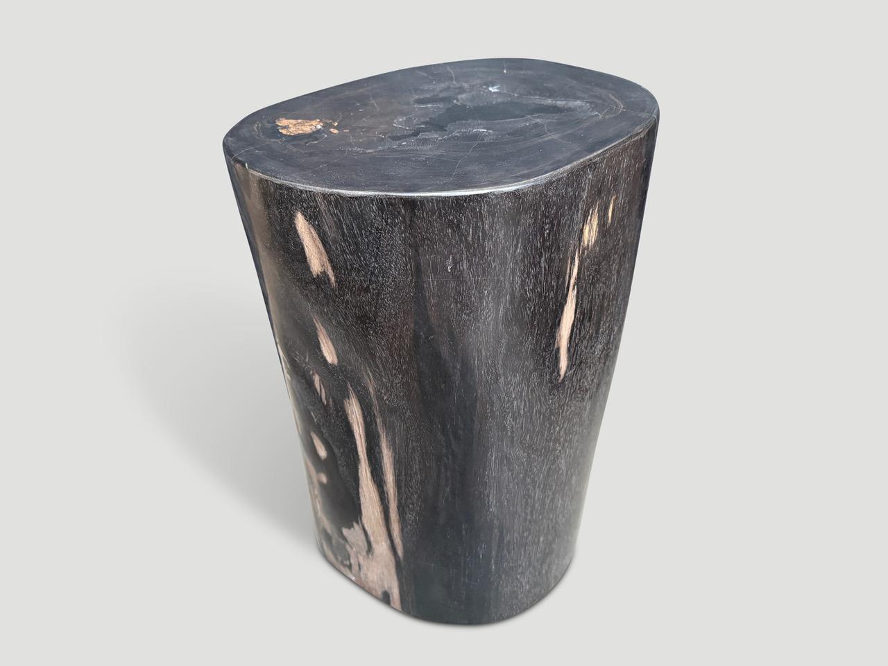 Andrianna Shamaris Table d'appoint en bois pétrifié ancien super lisse Excellent état - En vente à New York, NY