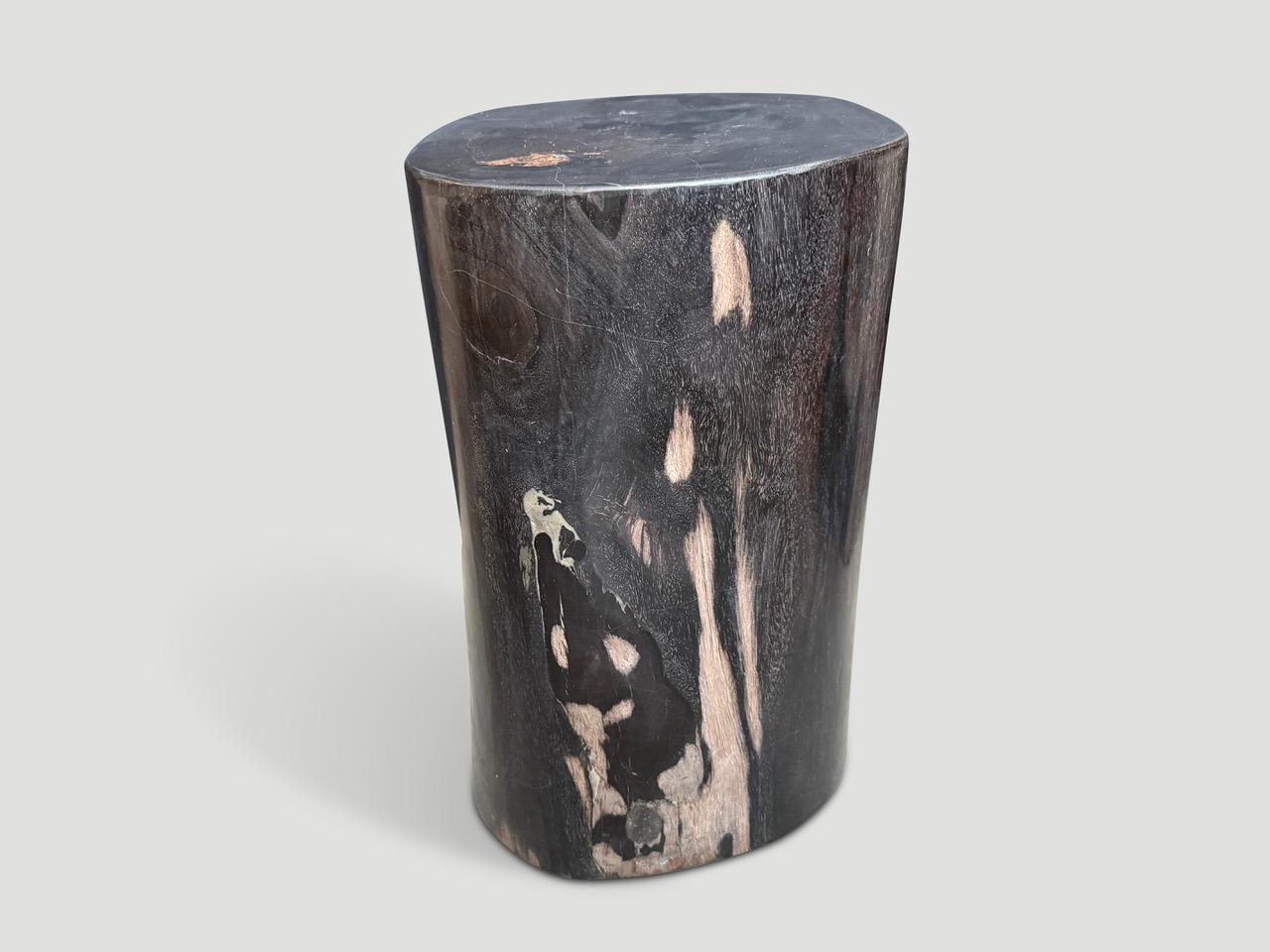 XXIe siècle et contemporain Andrianna Shamaris Table d'appoint en bois pétrifié ancien super lisse en vente