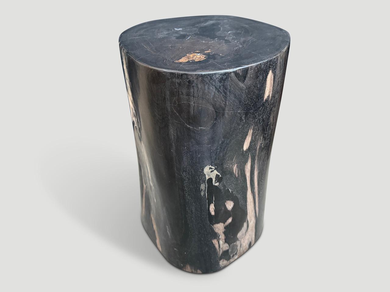 Bois Andrianna Shamaris Table d'appoint en bois pétrifié ancien super lisse en vente