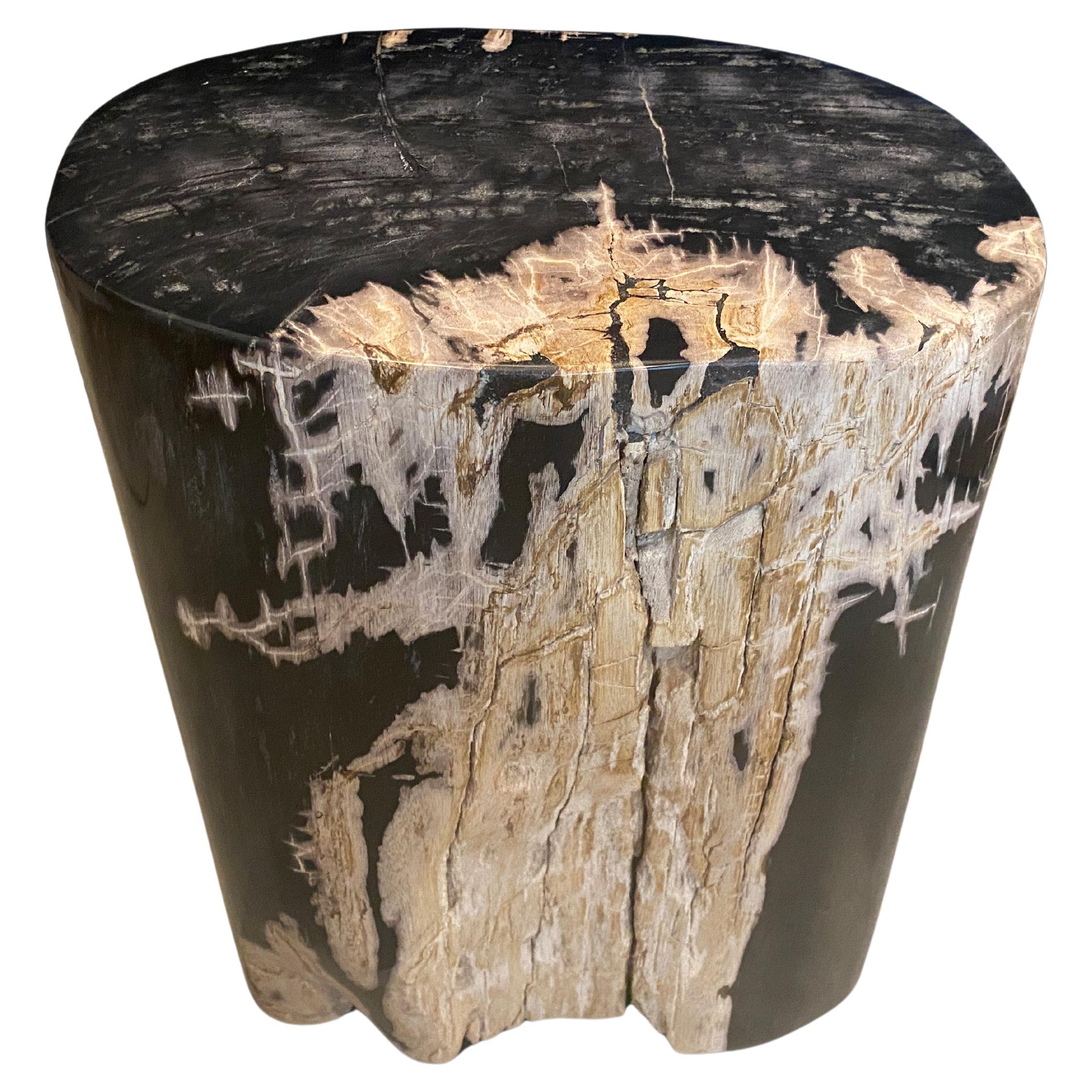 Andrianna Shamaris Super Smooth Ancient Petrified Wood Side Table