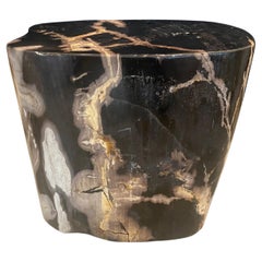 Andrianna Shamaris Super Smooth Ancient Petrified Wood Side Table