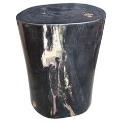Andrianna Shamaris Table d'appoint en bois pétrifié ancien super lisse