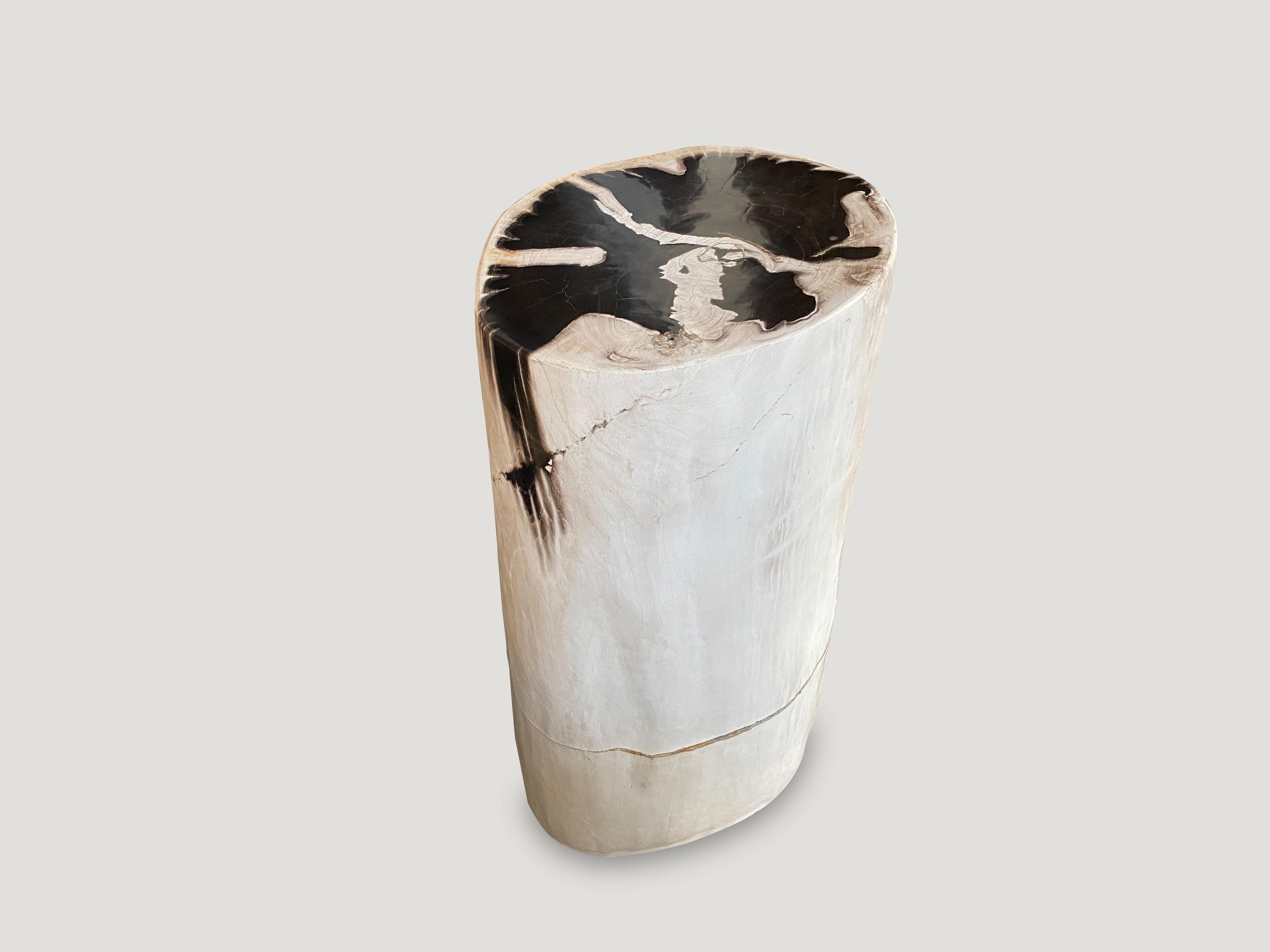 Organic Modern Andrianna Shamaris Super Smooth Black and White Petrified Wood Pedestal