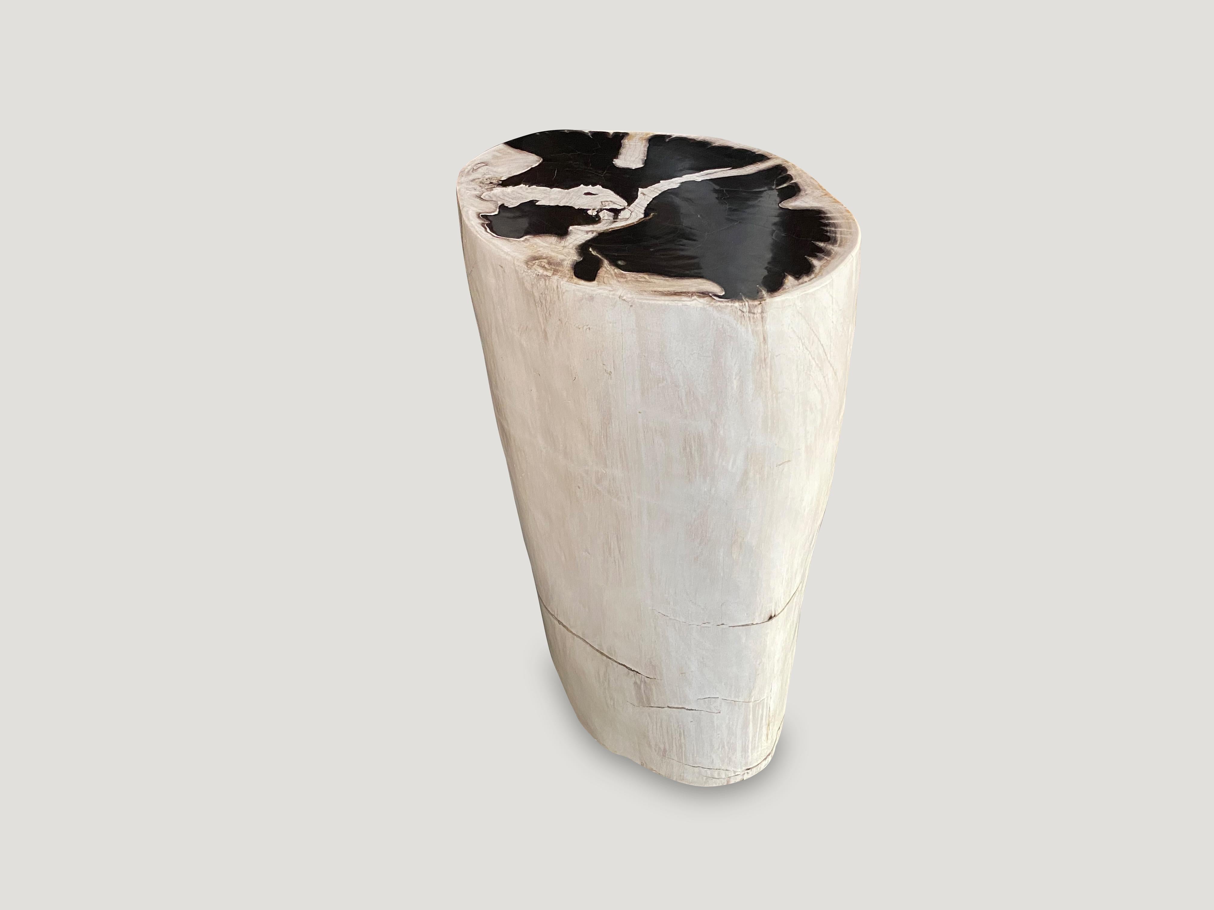 Andrianna Shamaris Super Smooth Black and White Petrified Wood Pedestal In Excellent Condition In New York, NY