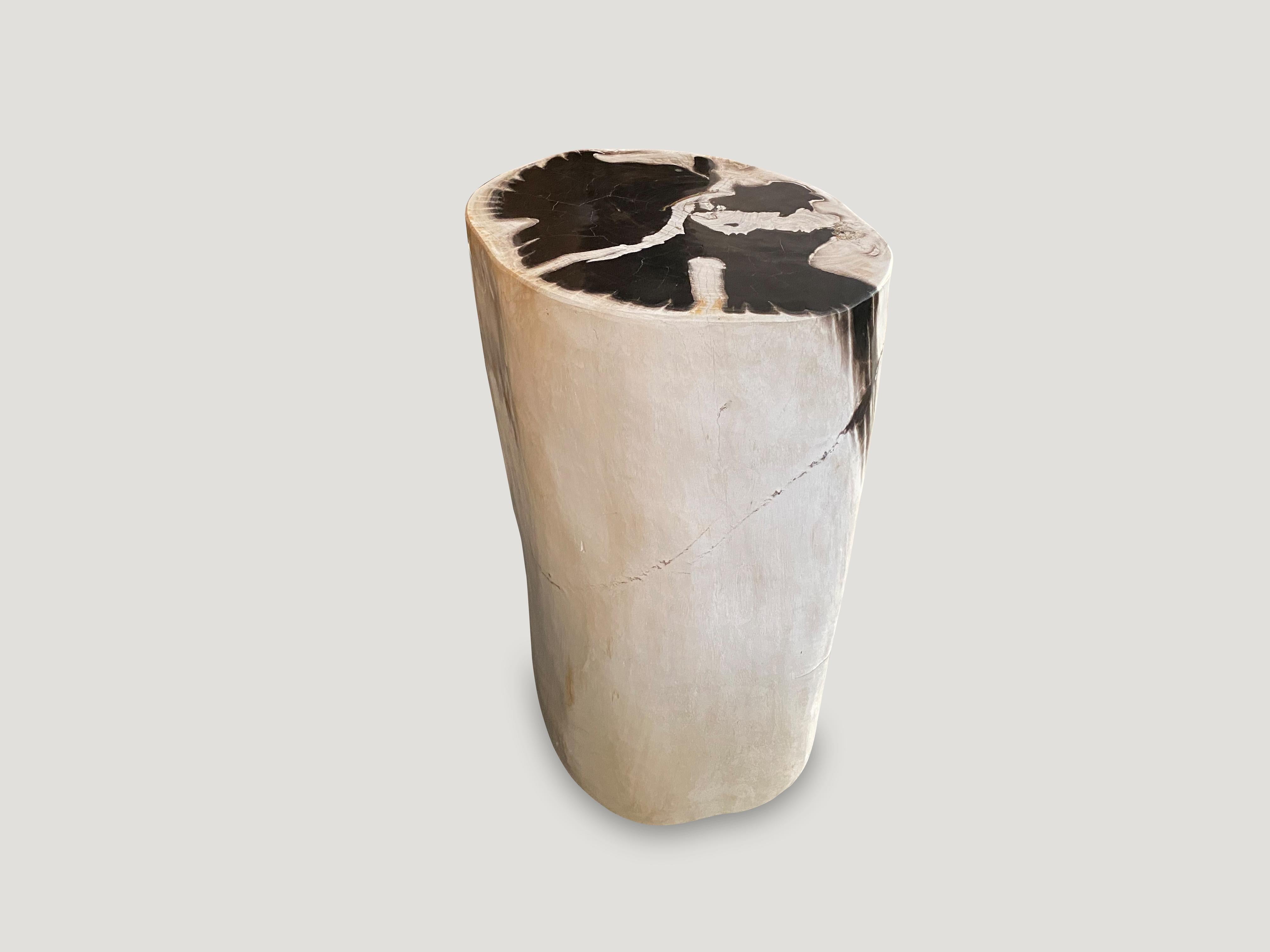 18th Century and Earlier Andrianna Shamaris Super Smooth Black and White Petrified Wood Pedestal