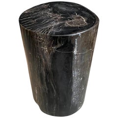 black petrified wood side table Andrianna Shamaris Super Smooth Black and White Petrified Wood Side Table