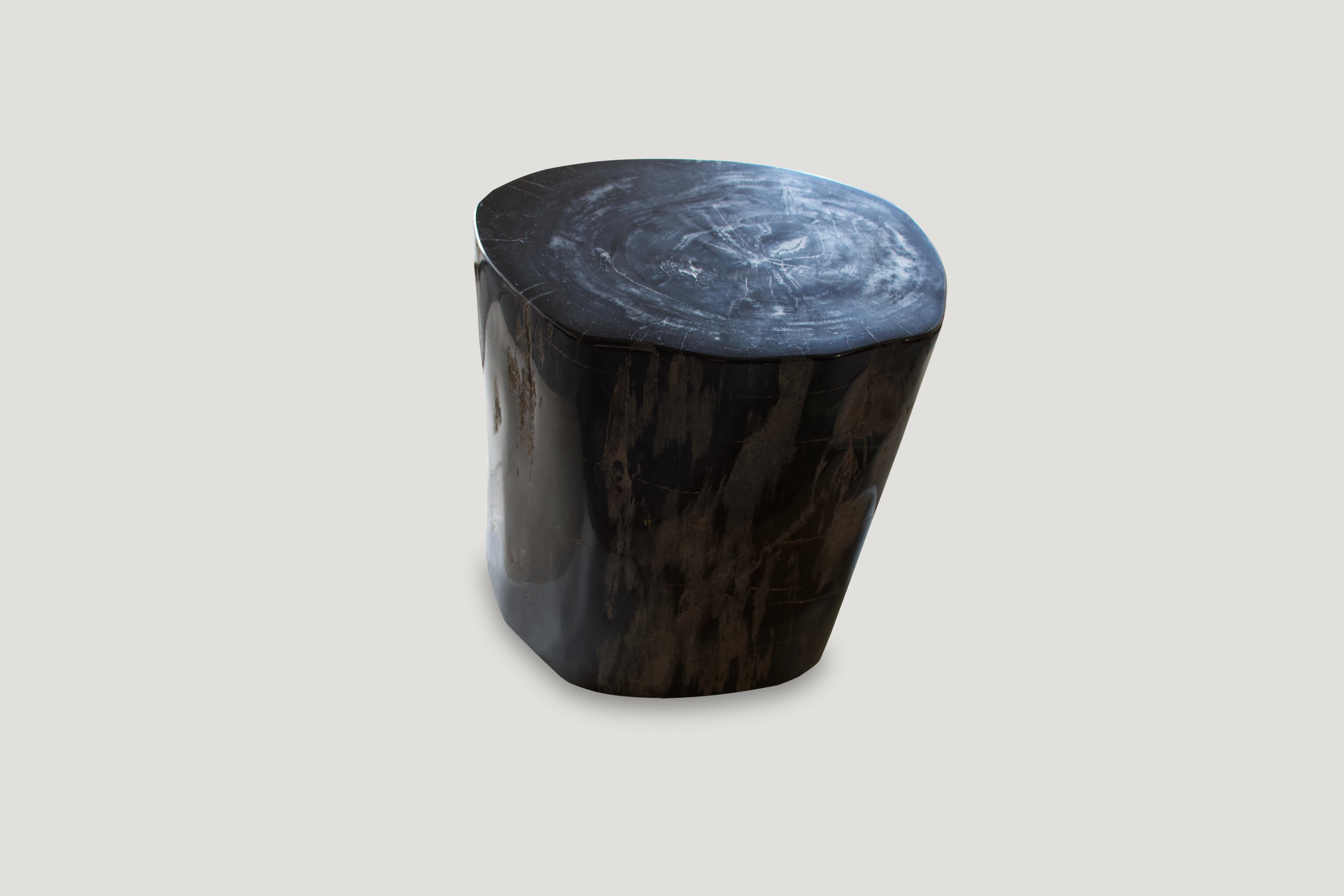 Organic Modern Andrianna Shamaris Super Smooth Black High Quality Petrified Wood Side Table
