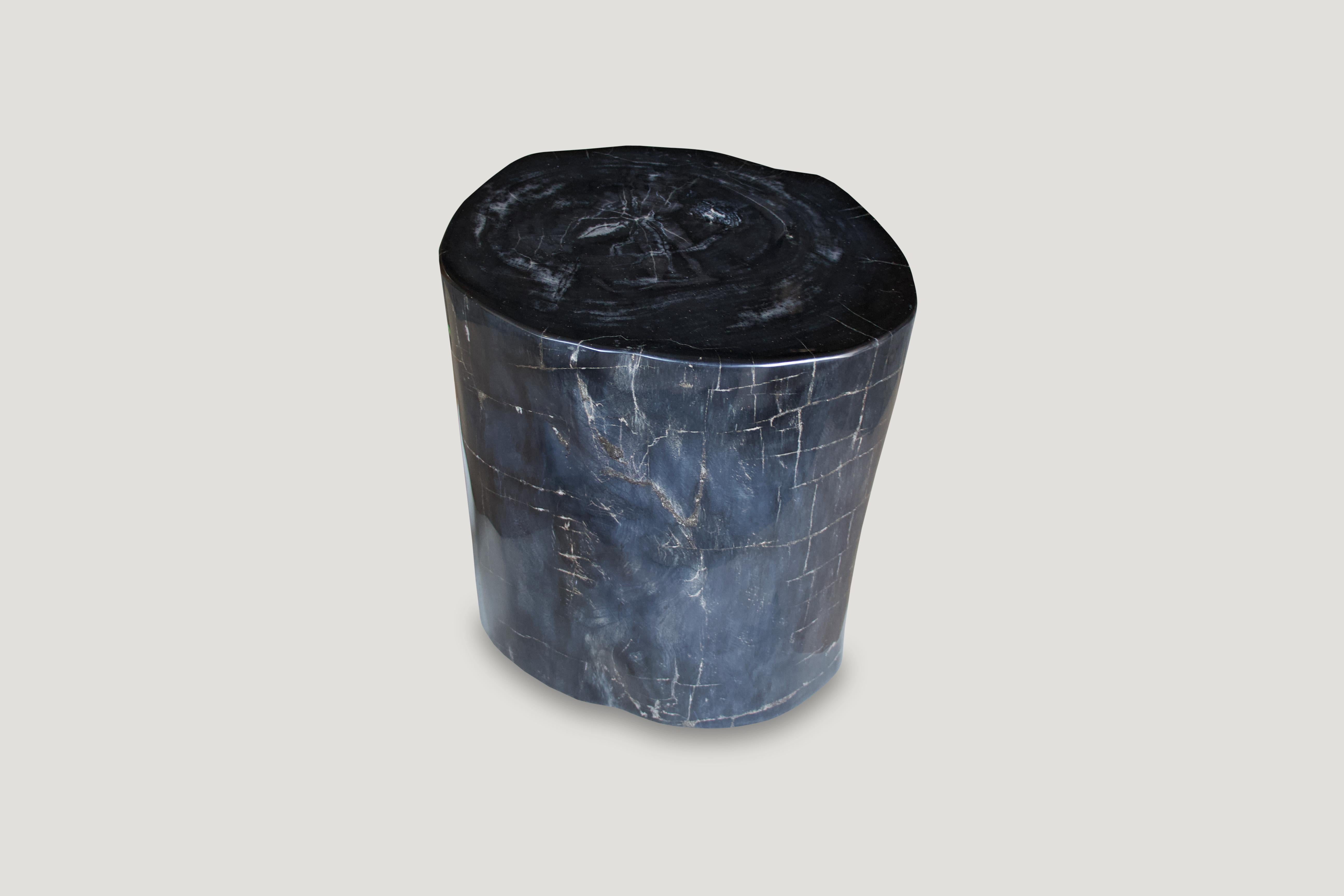 Andrianna Shamaris Super Smooth Black High Quality Petrified Wood Side Table In Excellent Condition In New York, NY
