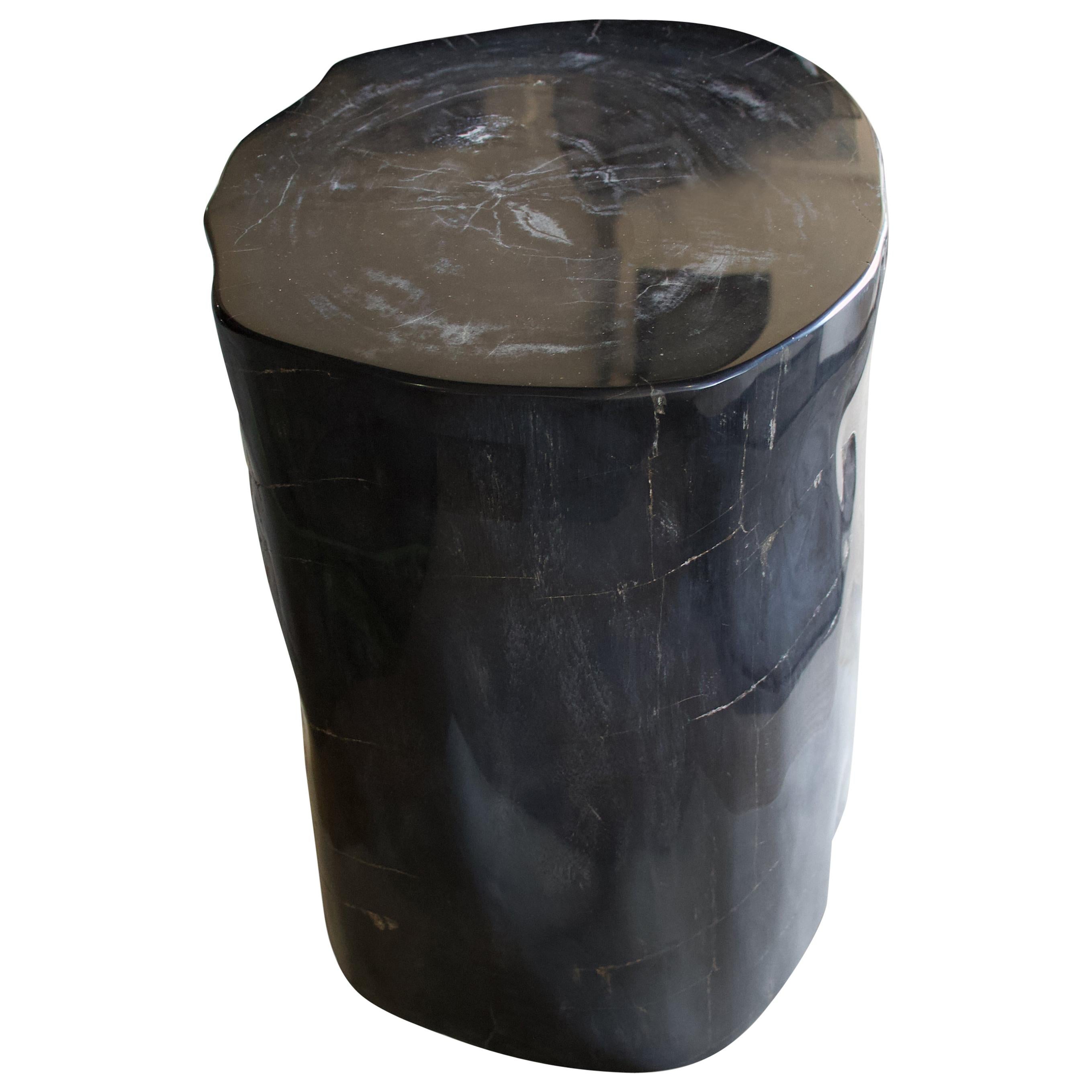 Andrianna Shamaris Super Smooth Black High Quality Petrified Wood Side Table