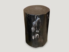 Andrianna Shamaris Super Smooth Black Toned Petrified Wood Side Table