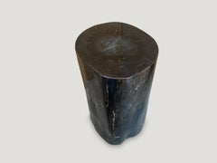 Andrianna Shamaris Super Smooth Black Toned Petrified Wood Side Table
