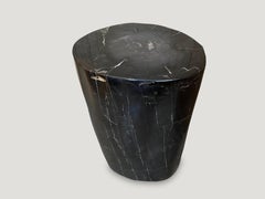 Andrianna Shamaris Super Smooth Black Toned Petrified Wood Side Table