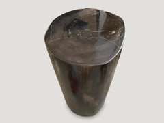 Andrianna Shamaris Super Smooth Black Toned Petrified Wood Side Table