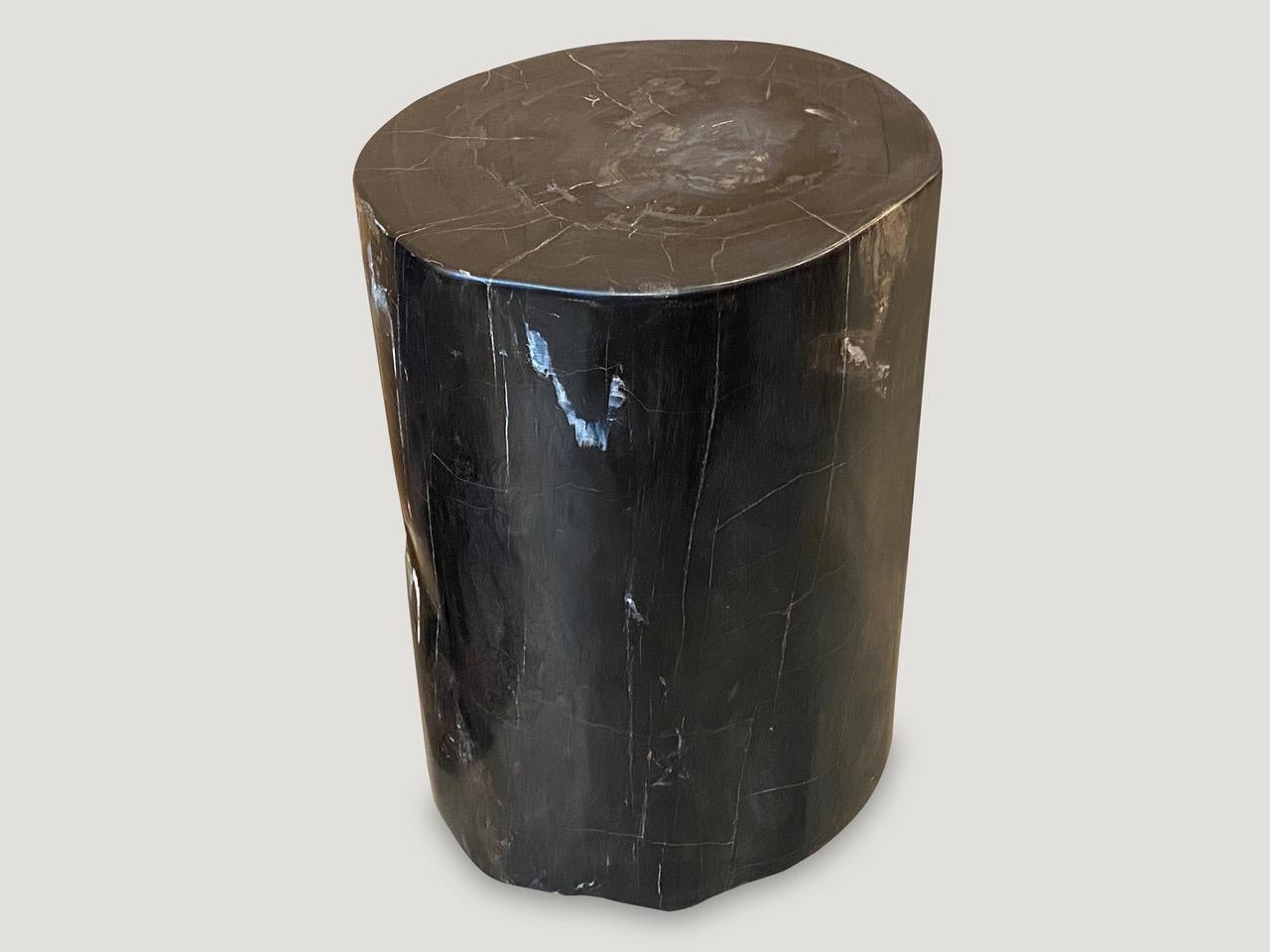 Organic Modern Andrianna Shamaris Super Smooth Black Toned Petrified Wood Side Table