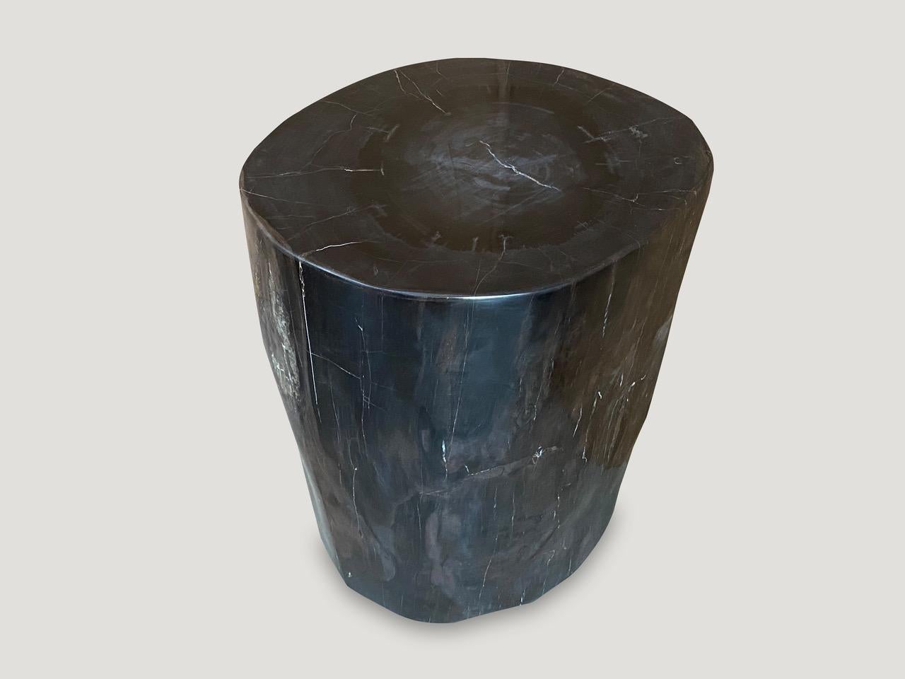 Organic Modern Andrianna Shamaris Super Smooth Black Toned Petrified Wood Side Table