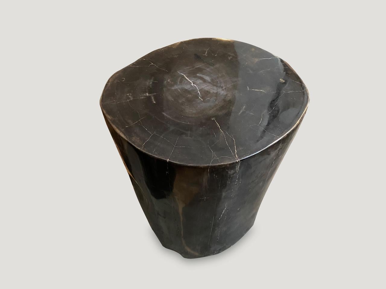 Andrianna Shamaris Super Smooth Black Toned Petrified Wood Side Table In Excellent Condition In New York, NY