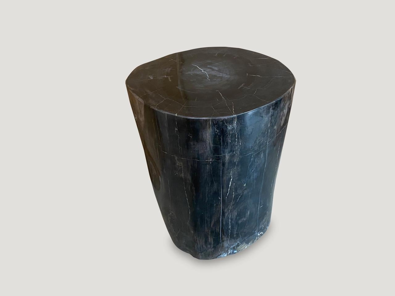18th Century and Earlier Andrianna Shamaris Super Smooth Black Toned Petrified Wood Side Table