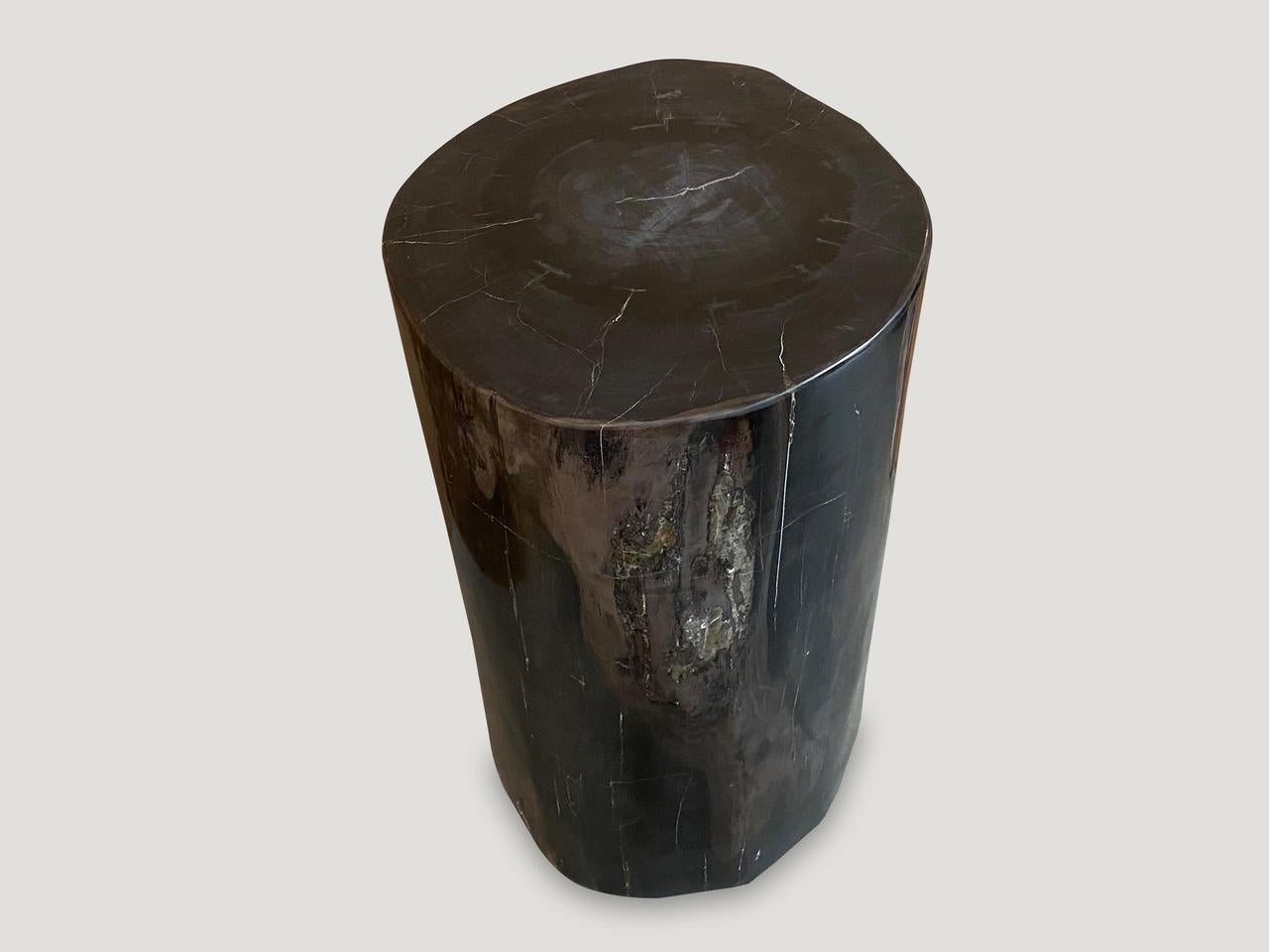 Andrianna Shamaris Super Smooth Black Toned Petrified Wood Side Table 1