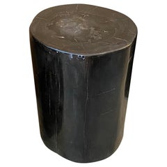 Andrianna Shamaris Super Smooth Black Toned Petrified Wood Side Table