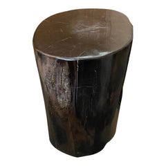 Andrianna Shamaris Super Smooth Black Toned Petrified Wood Side Table